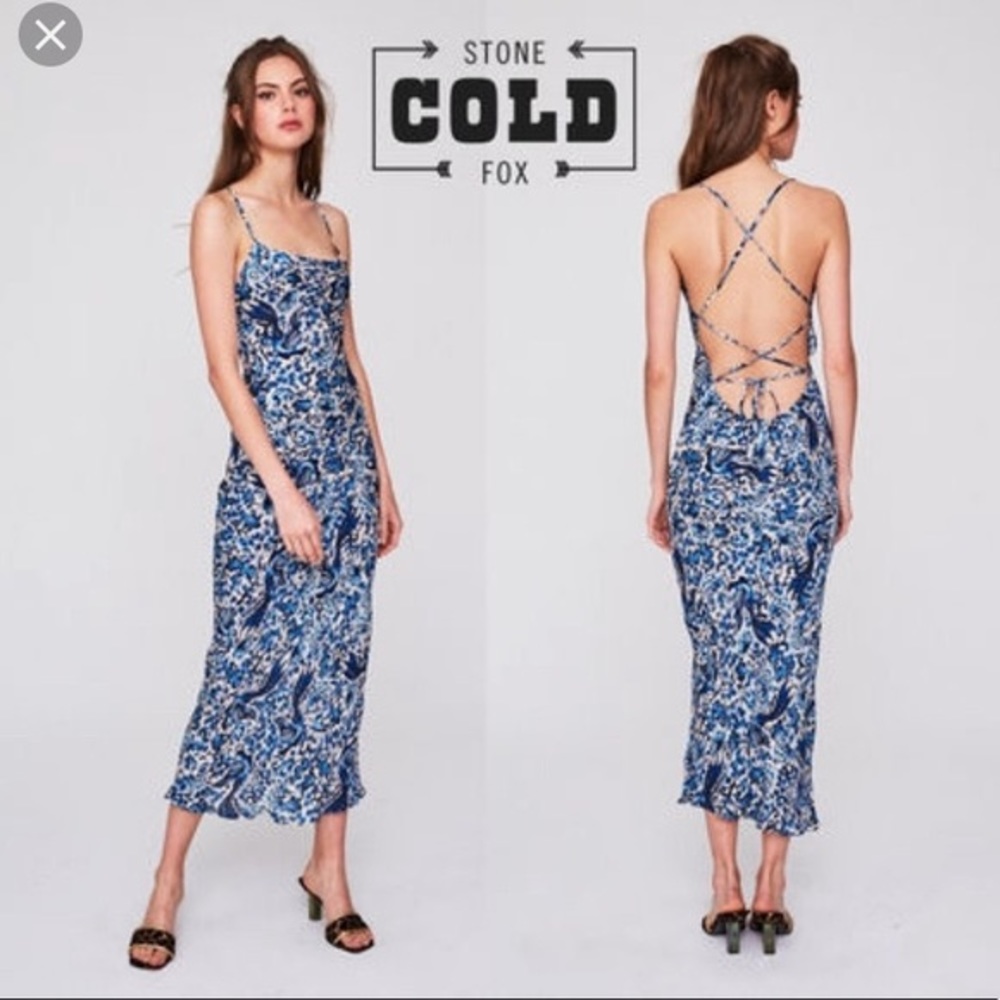 Stone cold fox temptation dress willow 1